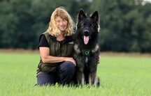 Hundetraining – AR